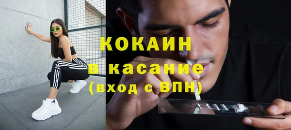 ешки Алексин