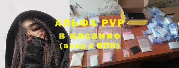 шишки Алзамай