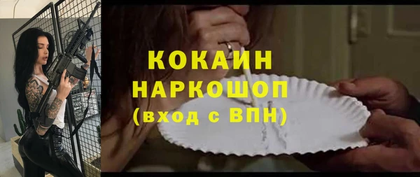 ешки Алексин