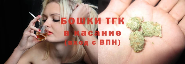 ешки Алексин