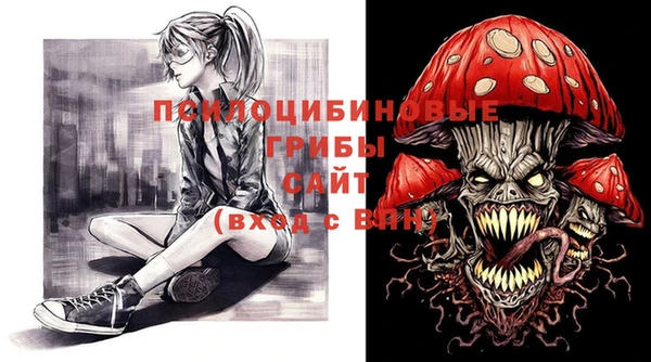 шишки Алзамай
