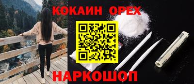 дмт Сланцы