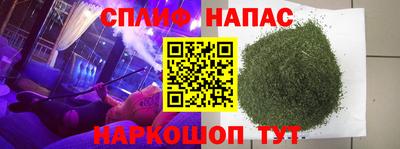 дмт Сланцы