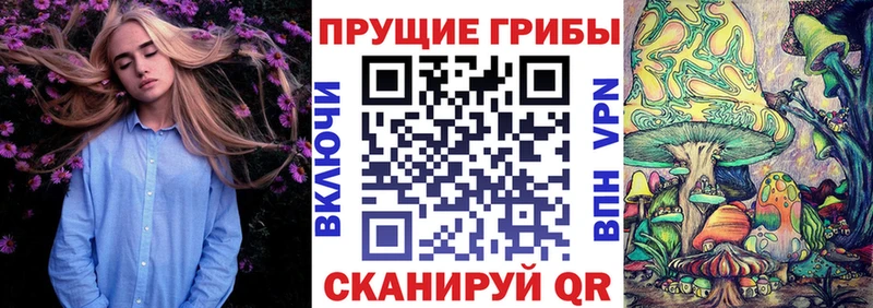 Псилоцибиновые грибы мицелий что такое Ревда