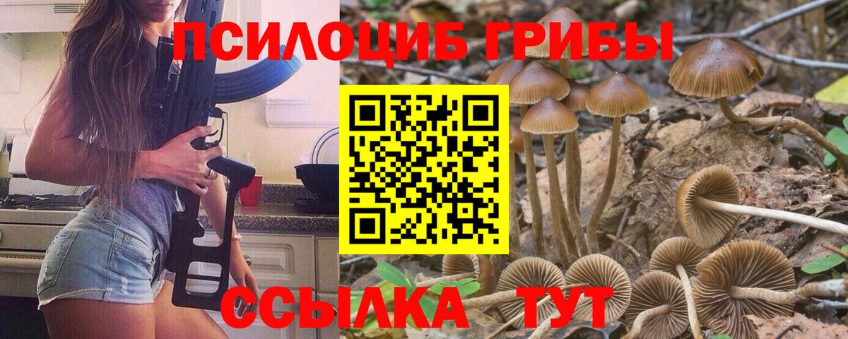 Галлюциногенные грибы GOLDEN TEACHER Ревда