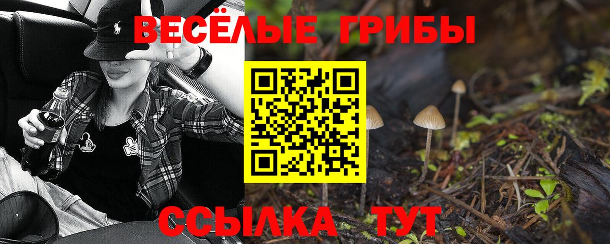Галлюциногенные грибы Psilocybine cubensis  Псилоцибиновые грибы мицелий  Вход с VPN  Ревда 